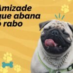 foto de um cachorro e escrito amizade que abana o rabo